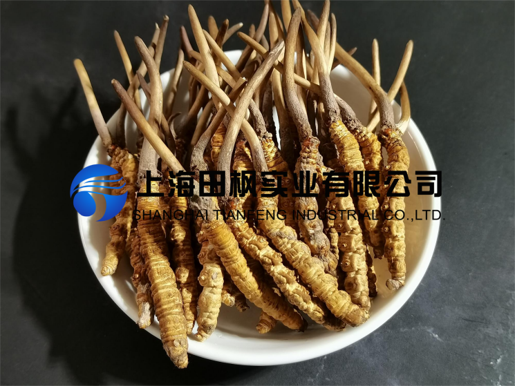 图片 1.png
